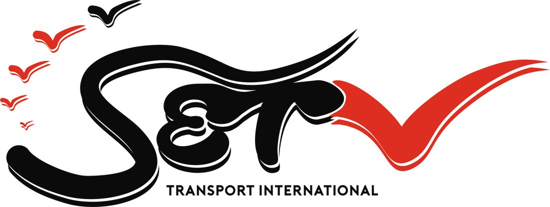 Conception du logo SETV - Zyl 2017